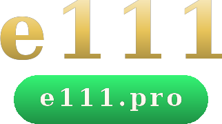 e111 logo